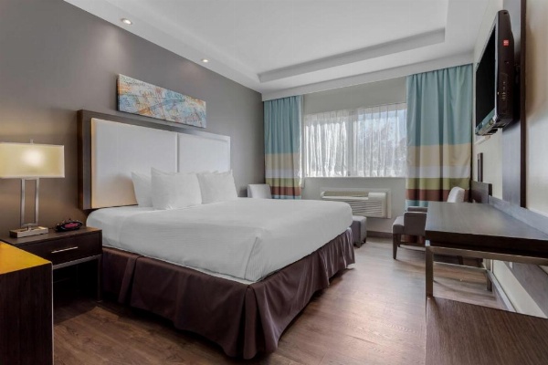 Best Western Plus Brooklyn Bay Hotel image 10